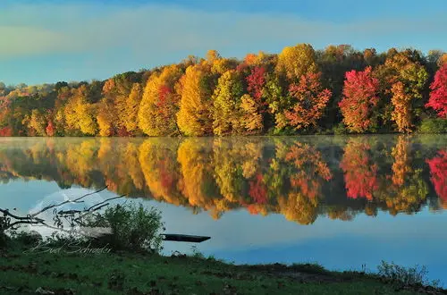 Tar Hollow State Park